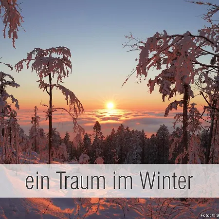 Huette40: Ganze Huette Nah Am Mit Privatem Whirlpool, Sauna. Umzaeunt. * Waldkirchen