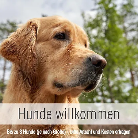 Hütte40: Ganze Hütte Nah Am Mit Privatem Whirlpool, Sauna. Umzäunt. Ferienhaus Waldkirchen