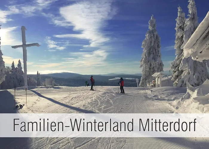 Hütte40: Ganze Hütte Nah Am Mit Privatem Whirlpool, Sauna. Umzäunt. * Waldkirchen