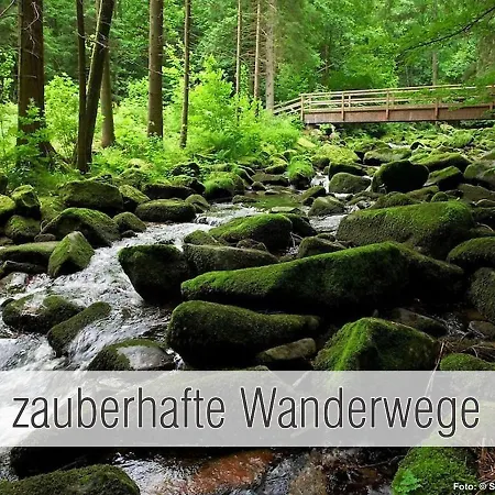 Huette40: Ganze Huette Nah Am Mit Privatem Whirlpool, Sauna. Umzaeunt. * Waldkirchen