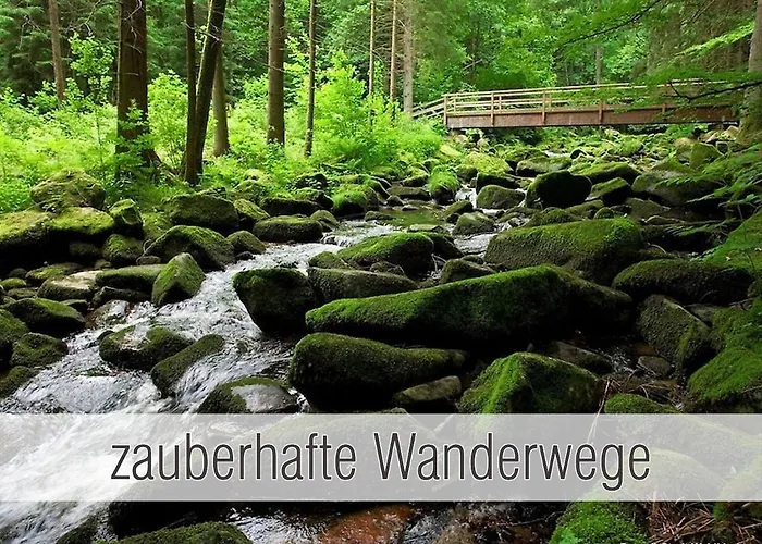 Huette40: Ganze Huette Nah Am Mit Privatem Whirlpool, Sauna. Umzaeunt. * Waldkirchen