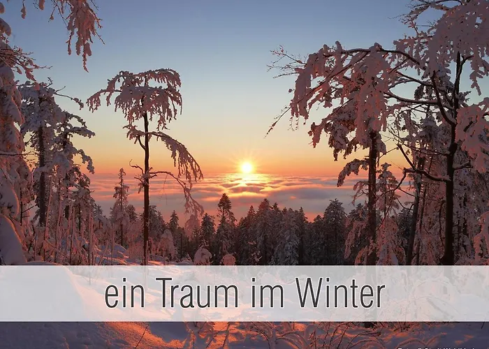 Huette40: Ganze Huette Nah Am Mit Privatem Whirlpool, Sauna. Umzaeunt. * Waldkirchen